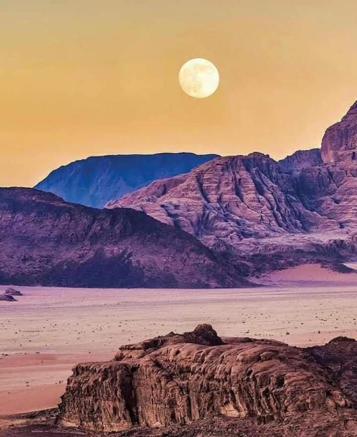 Mojo Camp, Ram Vadisi Dış mekan fotoğraf